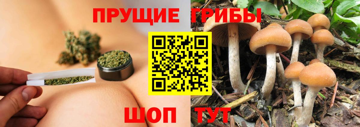 Мелеуз  Галлюциногенные грибы Cubensis  Вход с VPN 